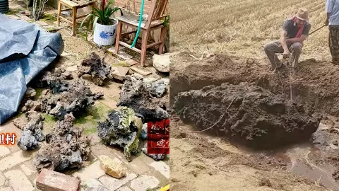 河北麦田天降怪石